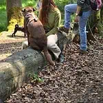 WhatsApp Image 2024-05-18 at 16.05.36