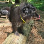 WhatsApp Image 2024-05-18 at 16.05.57