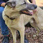 WhatsApp Image 2024-05-18 at 16.06.01