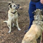 WhatsApp Image 2024-05-18 at 16.06.05