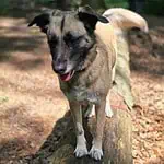 WhatsApp Image 2024-05-18 at 16.06.15 (1)