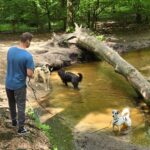 WhatsApp Image 2024-05-18 at 16.06.15