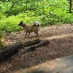 WhatsApp Image 2024-05-18 at 16.06.16 (1)