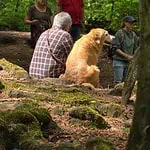 WhatsApp Image 2024-05-18 at 16.06.16 (2)