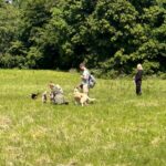 052d7e12-0921-4aa1-807c-572e967bd60f