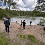 39738f1f-838d-47a9-b371-35416aa94c38