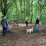 c0cddc97-1262-4582-bf9f-518608804688